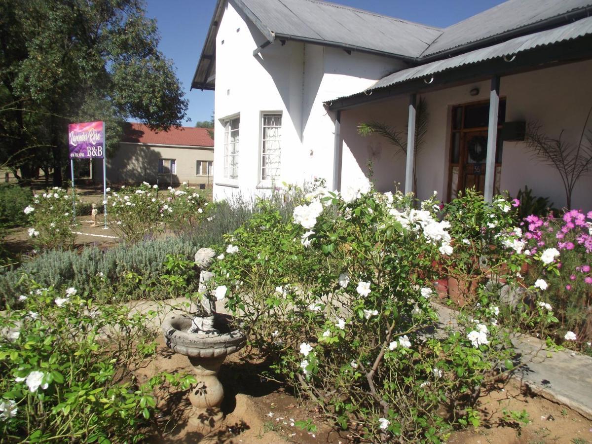 Lavender Rose Bethulie Exterior foto