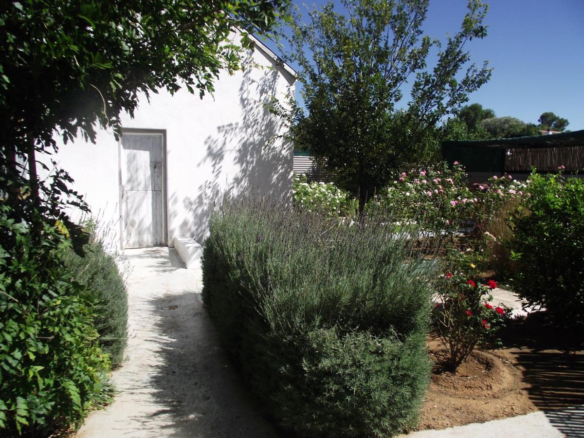 Lavender Rose Bethulie Exterior foto